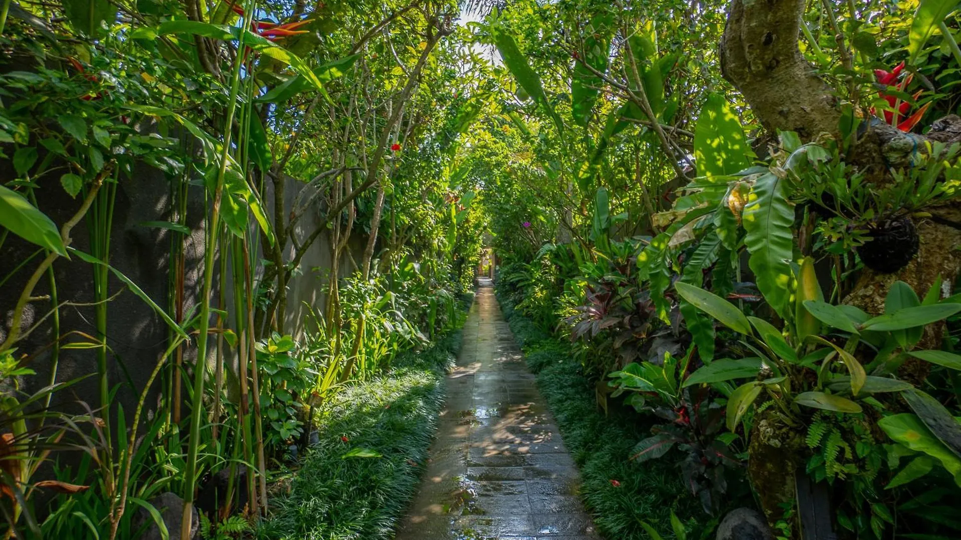 Purana Boutique Resort Ubud