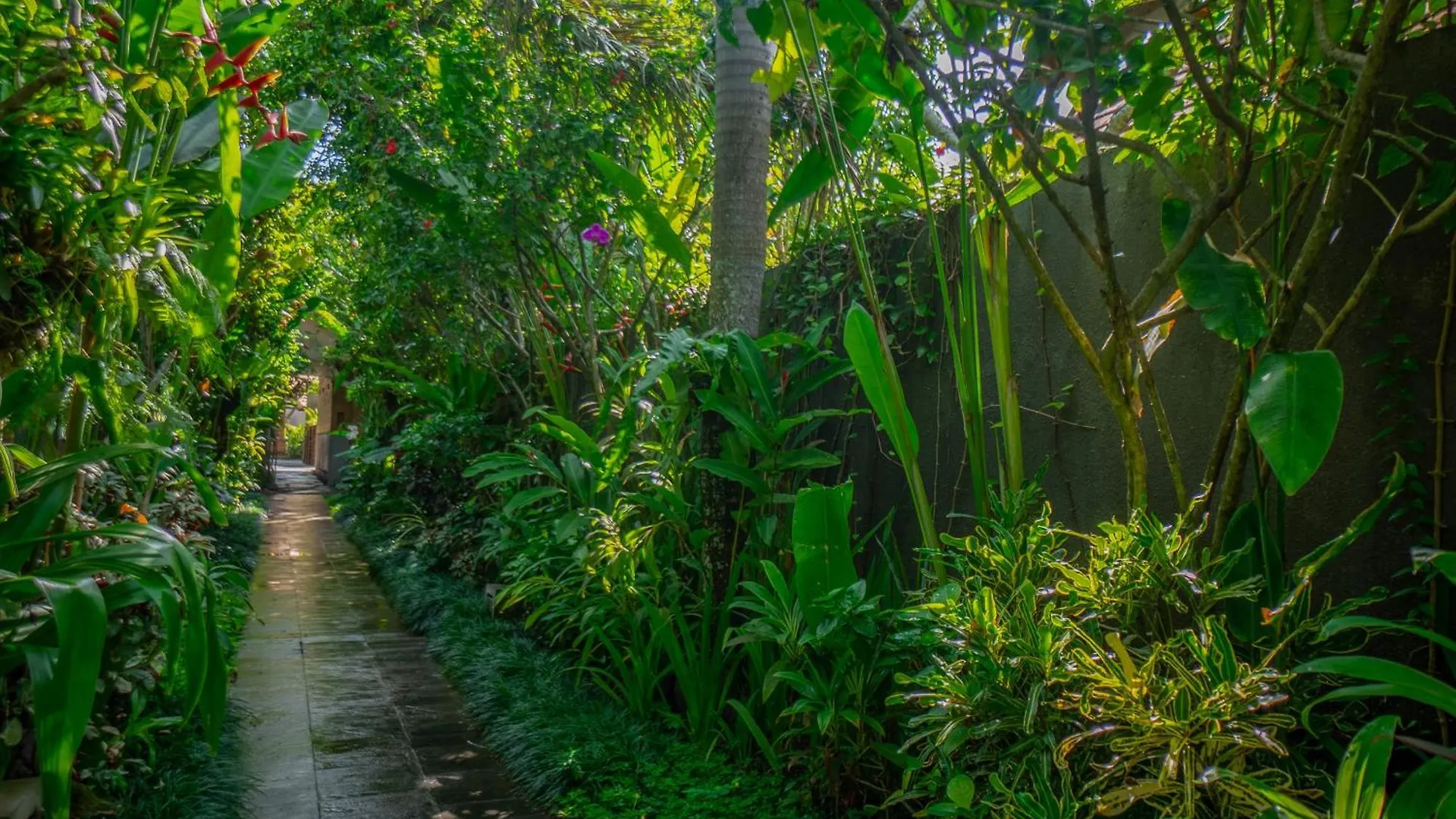 Purana Boutique Resort Ουμπούντ